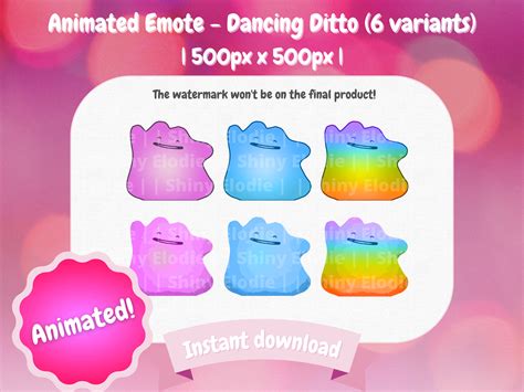 ditto dance website|ditto dancing link.